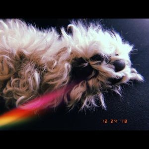 Meet your Posher, Melanie